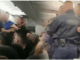 Скандалозно: Пијани навивачи на Слован направиле хаос во авионот за Скопје, има и приведени!