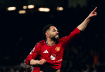 „На полувреме отидов да го прошетам кучето! Што се случи во Манчестер?“ (ФОТО)