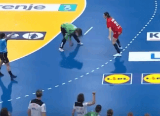 ИХФ призна дека Србија е оштетена!