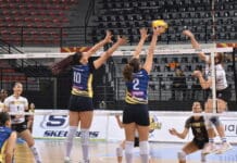 ЦЕВ Куп: Младост вторпат подобар од Јанта Волеј