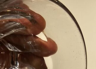 Хрватите „вријат“ поради лошата организација на ЕП…. пронајдени црви во храната!!!