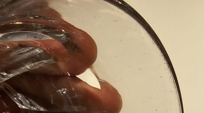 Хрватите „вријат“ поради лошата организација на ЕП…. пронајдени црви во храната!!!