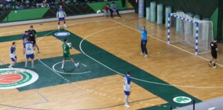 Прилеп го декласира “фенерџијата“