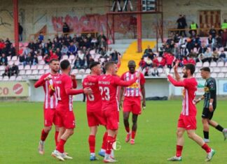 Тиквеш со лекција за Брера (ВИДЕО)