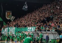 Пелистер се огласи после поразот од Вардар 1961, кој може ќе го чини титула