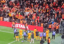 Вака се сака Македонија: „Фалангата“ со поддршка за фудбалерите после поразот (ВИДЕО)