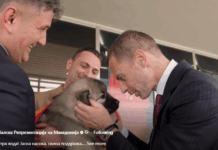 ФФМ со уникатен подарок за Чеферин – македонски шарпланинец! (ВИДЕО)