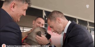 ФФМ со уникатен подарок за Чеферин – македонски шарпланинец! (ВИДЕО)