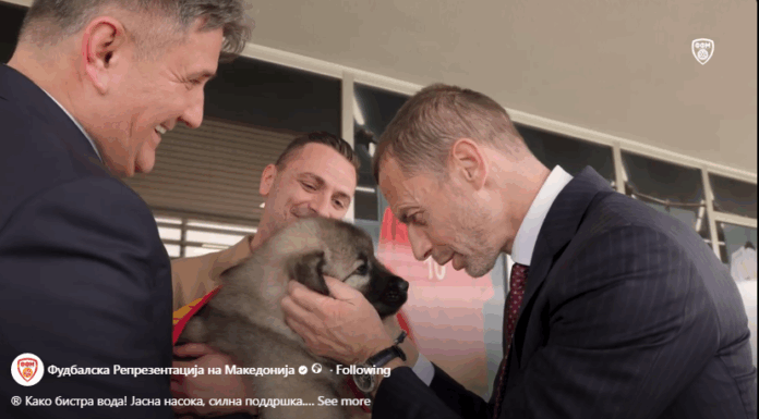 ФФМ со уникатен подарок за Чеферин – македонски шарпланинец! (ВИДЕО)