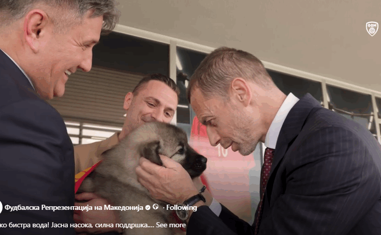 ФФМ со уникатен подарок за Чеферин – македонски шарпланинец! (ВИДЕО)