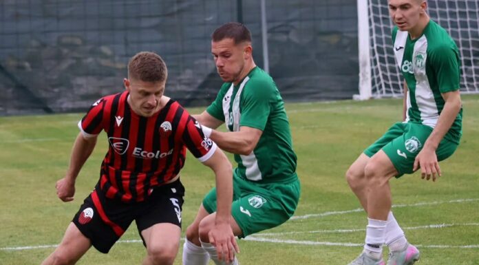 ПМФЛ Полувреме: Пелистер поведе во Тетово, Ибраими кога најмногу треба израмни на 1:1 (ВИДЕО)