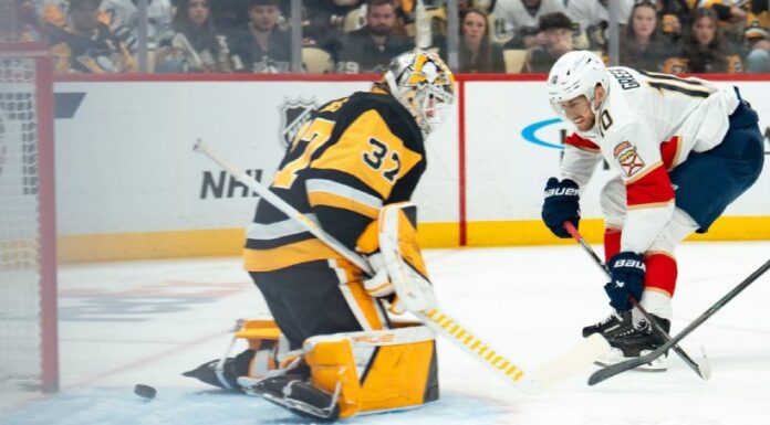 Раритет: Шампионот во НХЛ не успеа да се пласира во плеј-офот