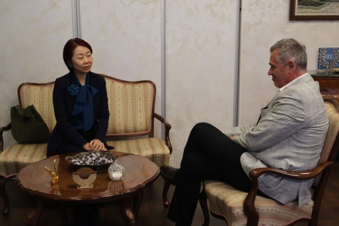 kineska ambasadorka vo mok