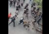 Сосема логичен вовед во вечерашното финале во Лигата на Конференции: Судир на навивачите на Кристал Палас и Рајо (ВИДЕО)