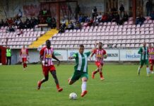 Тиквеш и Пелистер одиграа 2:2, битолчани ќе играат бараж за опстанок