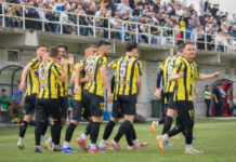 ПМФЛ: Арсими ја победи Струга ТЛ за крај