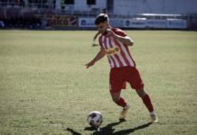 Никола Најдовски бира помеѓу Лапи и и Мислами од Молдавија