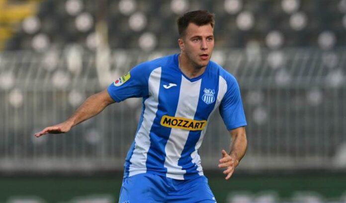 stefan despotovski