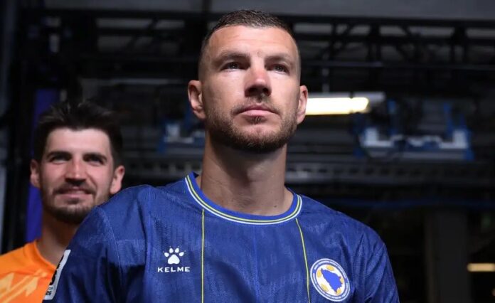 edin dzeko bih
