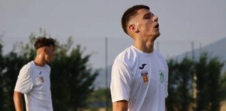 Пријателски: Пелистер со катастрофален пораз од 8:0, Работнички подобар од Брера
