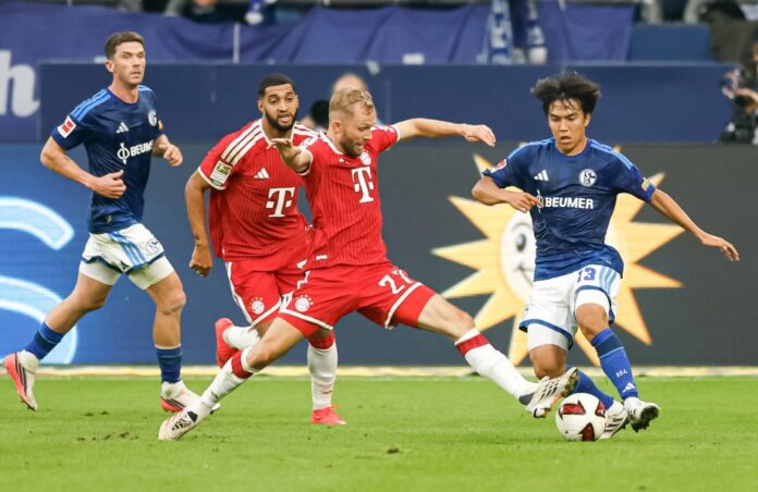 bayern schalke