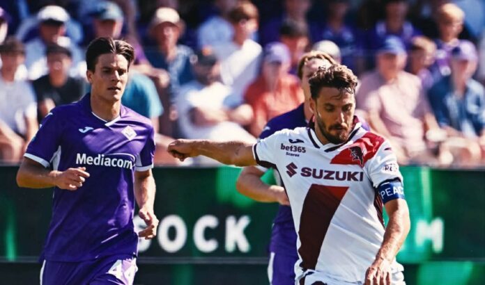 fiorentina torino
