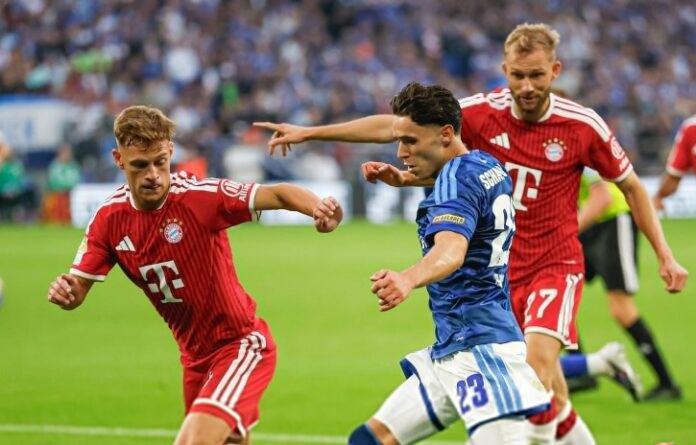shalke baern1