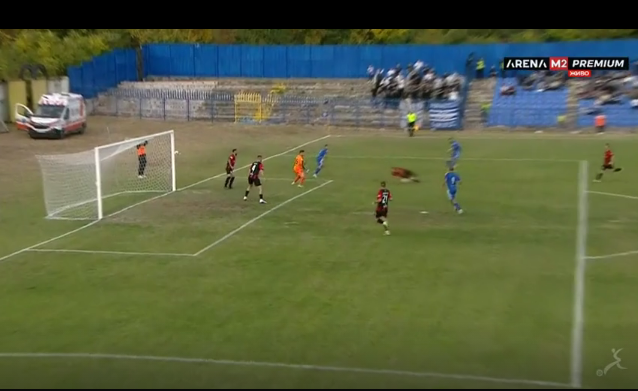 Penal ne