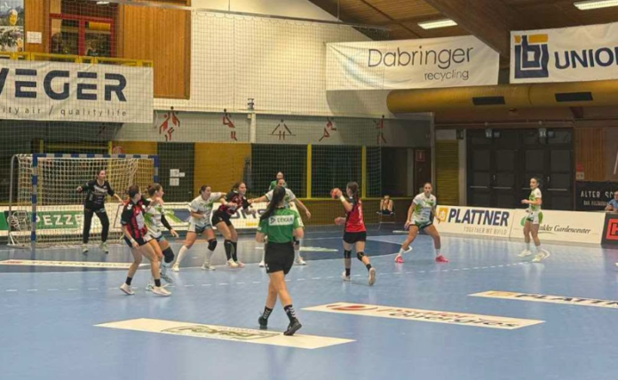 ZRK Vardar kaj Briksen
