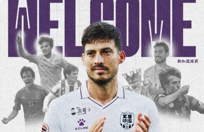 david silva
