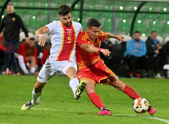 nikola velickovski