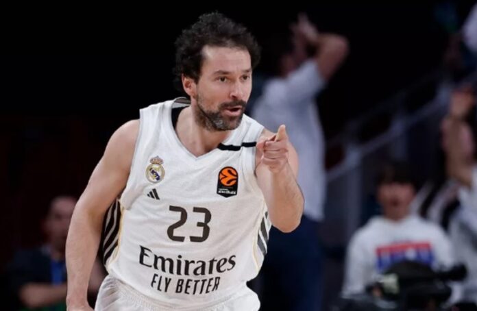 sergio llull
